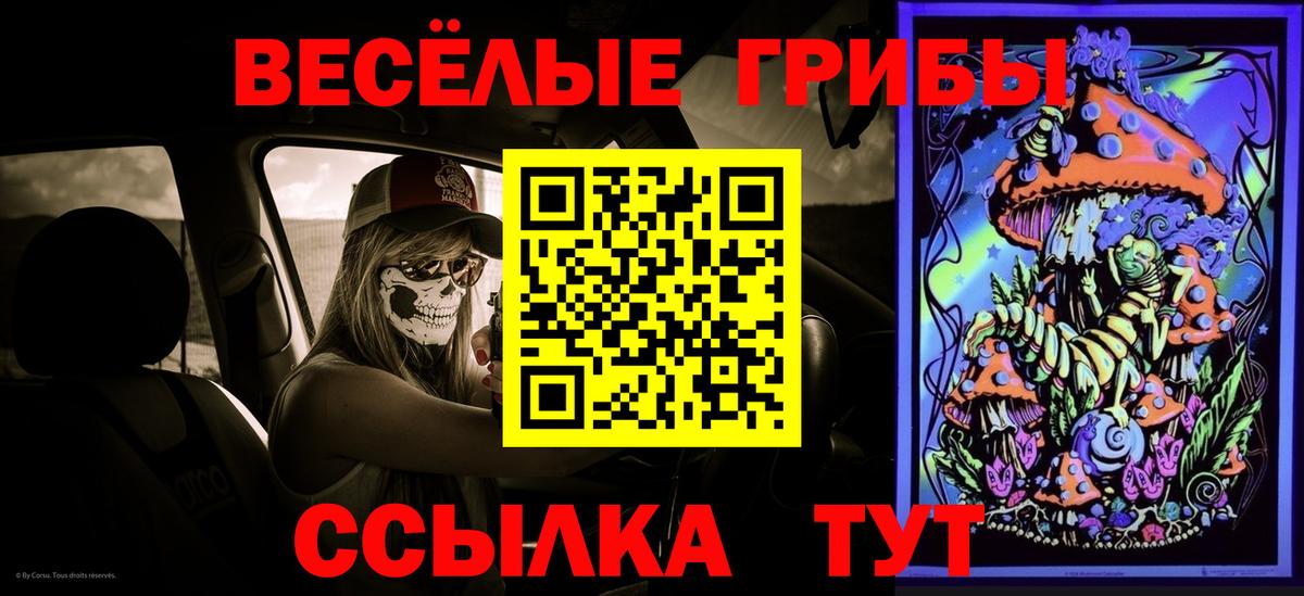Ростов Великий  Псилоцибиновые грибы Cubensis  Псилоцибиновые грибы Cubensis  Вход с VPN 