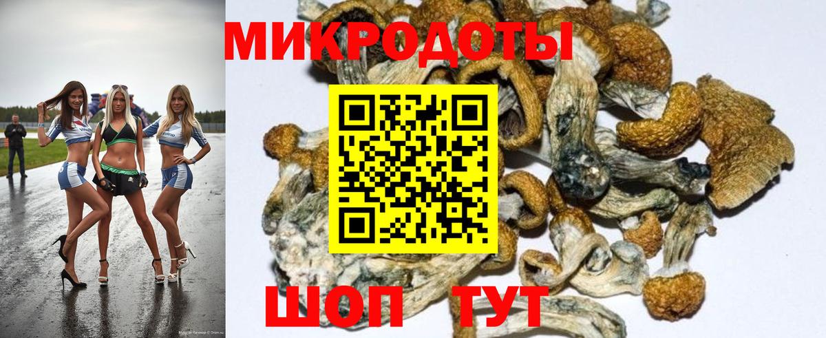 Галлюциногенные грибы Psilocybine cubensis Ростов Великий