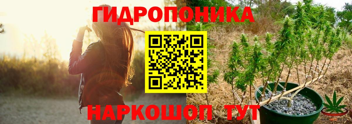 Бошки Шишки марихуана Ростов Великий